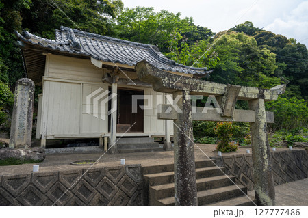 五島列島の初夏　長崎 127777486