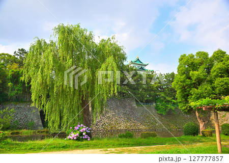 アジサイのある風景 127777857