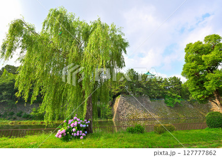 アジサイのある風景 127777862