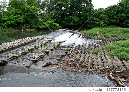 坂戸市島田地先にある株木用水堰 127778136