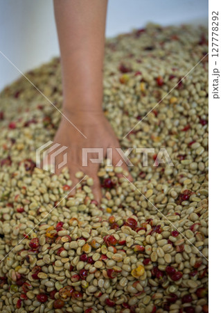 Close up smart farmer techniques hand coffee bean machinery roast apparatus dry sunlight tool sunbeam sunray sunshine fresh garden produce agriculture promotes farmer concept farm blur background 127778292