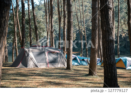 Concept camping blur background mountain cloud sky enhances nature outdoor tourism comes close up orange blue tent peaceful pine forest scenic woodland vacation Sunlight tree fog cold winter morning Concept camping blur background mountain cloud sky enhances nature outdoor tourism comes close up orange blue tent peaceful pine forest scenic woodland vacation Sunlight tree fog cold winter morning 127779127