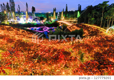【沖縄県】東南植物楽園の南国イルミネーション（美らヤシパークオキナワ） 127779201