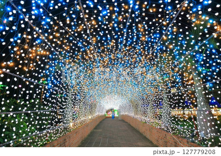 【沖縄県】東南植物楽園の南国イルミネーション（美らヤシパークオキナワ） 127779208
