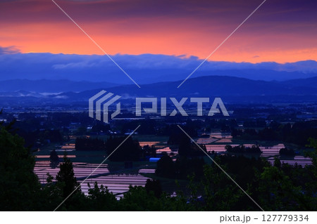 岩手県花巻市　朝の田園風景 127779334