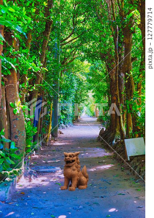 備瀬のフクギ並木（沖縄）シーサー 127779714