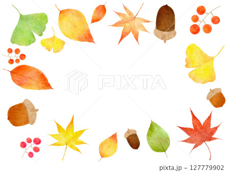 どんぐり　イチョウ　もみじ　秋　イラスト 127779902
