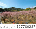 梅園 127780287