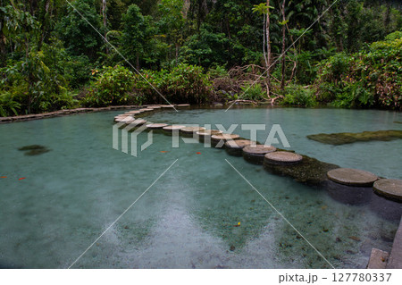 Ban Nam Rad Forested watersheds in Surat Thani, Thailand. 127780337