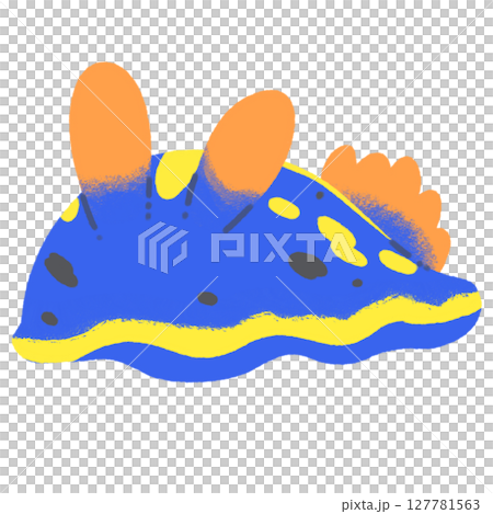 綠海龜 綠海龜 127781563