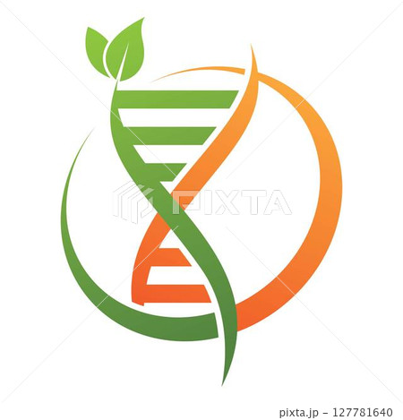 DNA logo template design 127781640