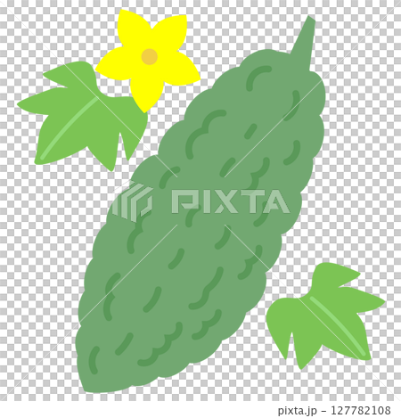 ゴーヤ　実と花と葉　夏野菜　ベクターイラスト 127782108