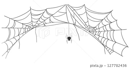 Spiderweb cartoon cobwebs for Halloween design. Vector illustration of hanging spider nets, ideal for dark spooky banners, decorations, or creepy party backdrops. Spiderweb cartoon cobwebs for Halloween design. Vector illustration of hanging spider nets, ideal for dark spooky banners, decorations, or creepy party backdrops. 127782436