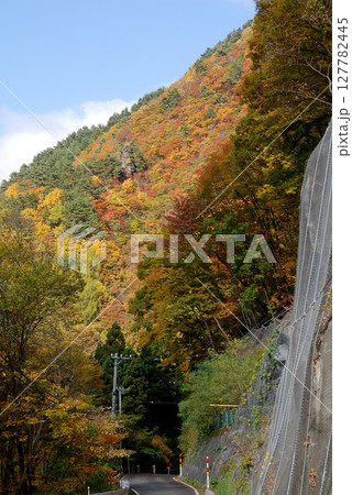 Road in Shigakogen area / 錦秋の志賀高原 国立公園内を進む林道からの景色 Road in Shigakogen area / 錦秋の志賀高原 国立公園内を進む林道からの景色 127782445