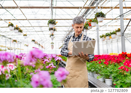 A man in a greenhouse surrounded by vibrant flowers uses a laptop. He appears to be working in a floral shop. 127782809