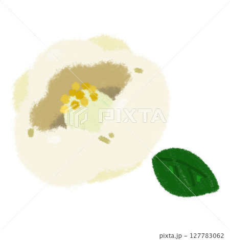 白い手描きの椿の花と葉っぱ 127783062