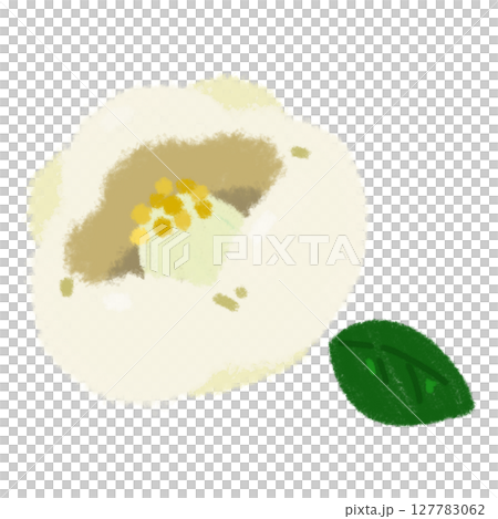 白い手描きの椿の花と葉っぱ 127783062