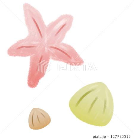 手描きの黄色の貝とオレンジ色のヒトデ 127783513