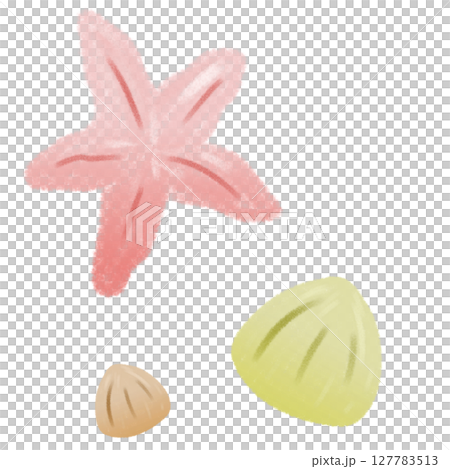 手描きの黄色の貝とオレンジ色のヒトデ 127783513