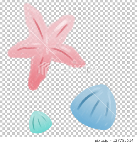 手繪藍色貝殼與粉紅海星 127783514