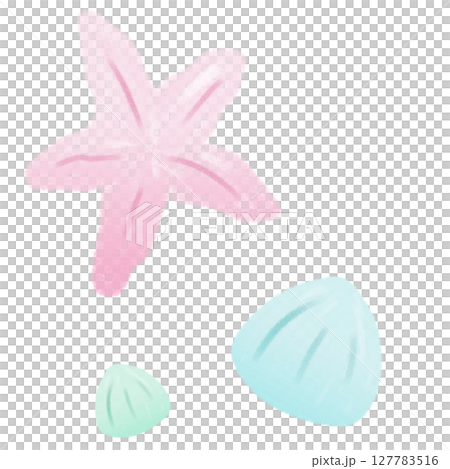 手描きの淡い色の青い貝とピンクのヒトデ 手描きの淡い色の青い貝とピンクのヒトデ 127783516