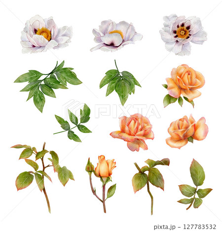 Set of white tree peonies and peach roses 127783532
