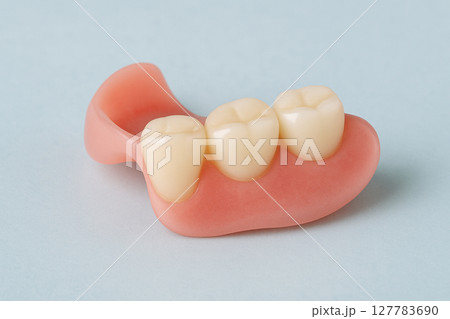 入れ歯 義歯 模型 127783690