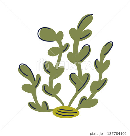 Vector illustration of seaweed in flat cartoon style. Underwater plant icon for ocean designs, marine biology materials, kids books, aquarium decor, doodle for educational and creative projects Vector illustration of seaweed in flat cartoon style. Underwater plant icon for ocean designs, marine biology materials, kids books, aquarium decor, doodle for educational and creative projects 127784103