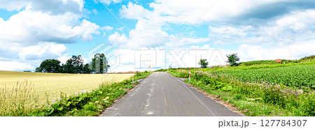 爽やかな夏の北海道の田舎道のある風景 127784307