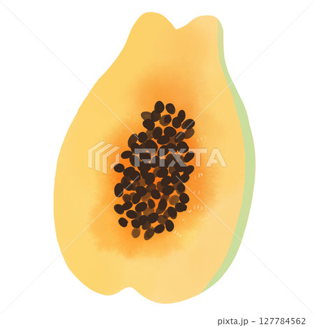 種入りカットパパイヤの水彩風イラスト 127784562