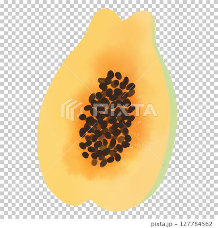 種入りカットパパイヤの水彩風イラスト 127784562