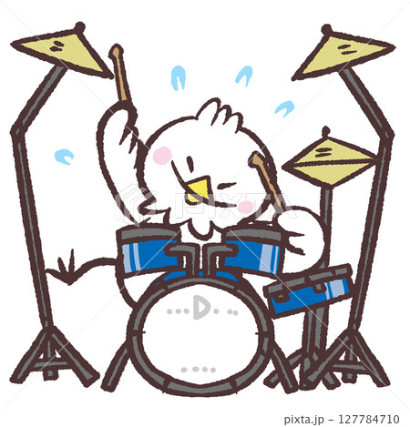 ドラムをたたく白い鳥のイラスト ドラムをたたく白い鳥のイラスト 127784710