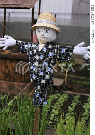 田んぼ　かかし　田植え 127784803