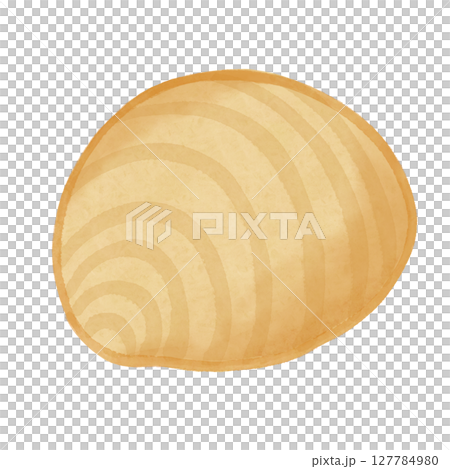 Bivalve shell watercolor Bivalve shell watercolor 127784980
