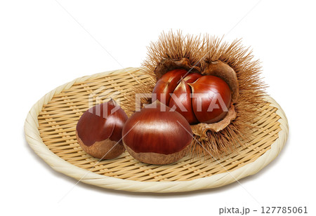 栗 イラスト リアル 毬栗 127785061