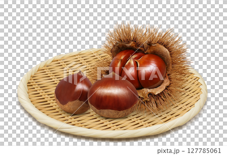 栗 イラスト リアル 毬栗 127785061