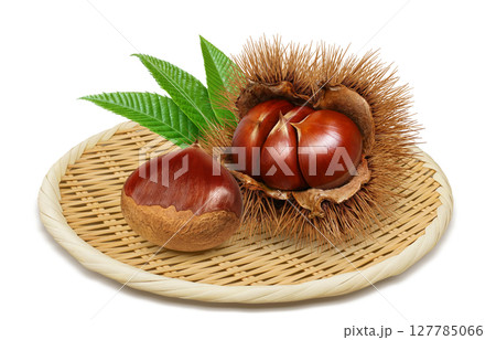 栗 イラスト リアル 毬栗 127785066