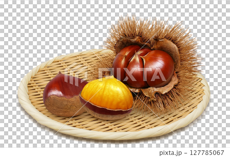 栗子插畫逼真的栗子毛刺 栗子插畫逼真的栗子毛刺 127785067