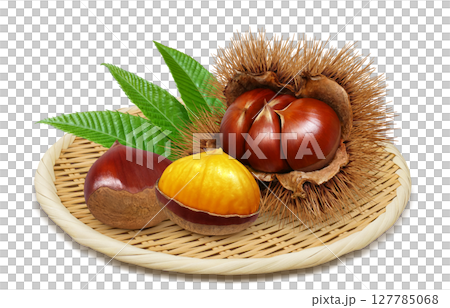 栗子插畫逼真的栗子毛刺 127785068