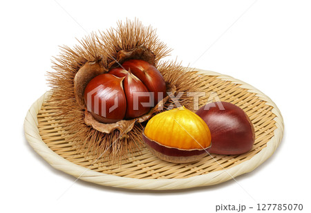 栗 イラスト リアル 毬栗 127785070