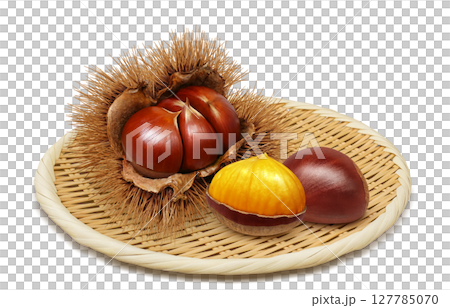 栗子插畫逼真的栗子毛刺 127785070