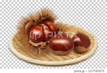 栗子插畫逼真的栗子毛刺 127785073