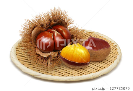 栗 イラスト リアル 毬栗 127785079