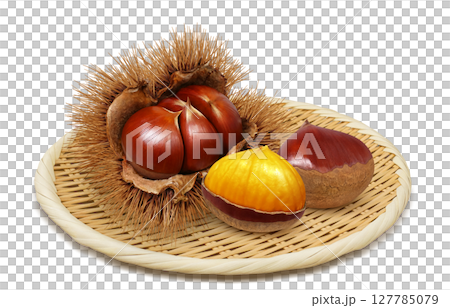 栗子插畫逼真的栗子毛刺 127785079