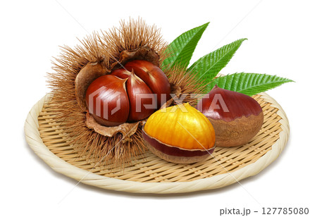 栗 イラスト リアル 毬栗 127785080