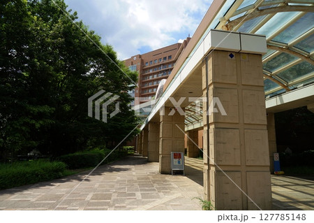青空に映える子どものための病院 6月世田谷1369国立成育医療研究センター 青空に映える子どものための病院 6月世田谷1369国立成育医療研究センター 127785148