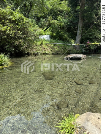 清流　涼しげな川上 127785161