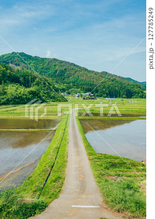 田植えの始まった農村【長野県】 田植えの始まった農村【長野県】 127785249