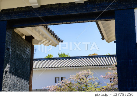 春の大阪城　大手門と桜　青空　 127785250