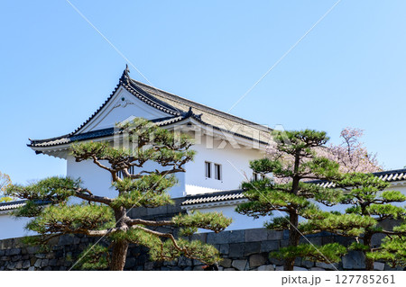 春の大阪城 多聞櫓と桜 青空 春の大阪城 多聞櫓と桜 青空 127785261